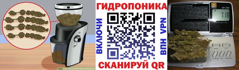 купить   Шилка  Canna-Cookies конопля 