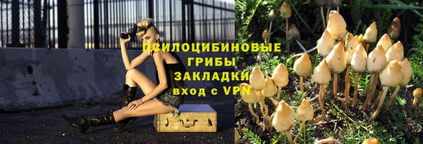 бошки Кулебаки
