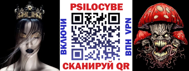 ссылка на мегу tor  Шилка  Псилоцибиновые грибы Magic Shrooms 